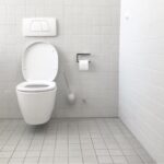 toilet minimalis